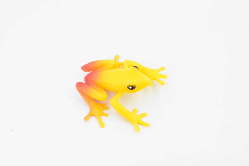 Golden Poison Dart Frog, Yellow and Red, Hand Painted, Amphibian, Hard Rubber, Realistic Frog, Toy, Kids, Educational, Gift,     2"     F4409 B9