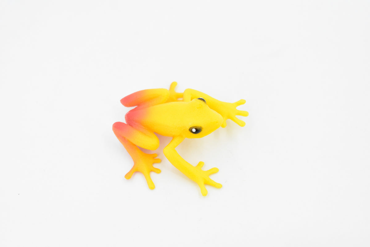 Golden Poison Dart Frog, Yellow and Red, Hand Painted, Amphibian, Hard Rubber, Realistic Frog, Toy, Kids, Educational, Gift,     2"     F4409 B9