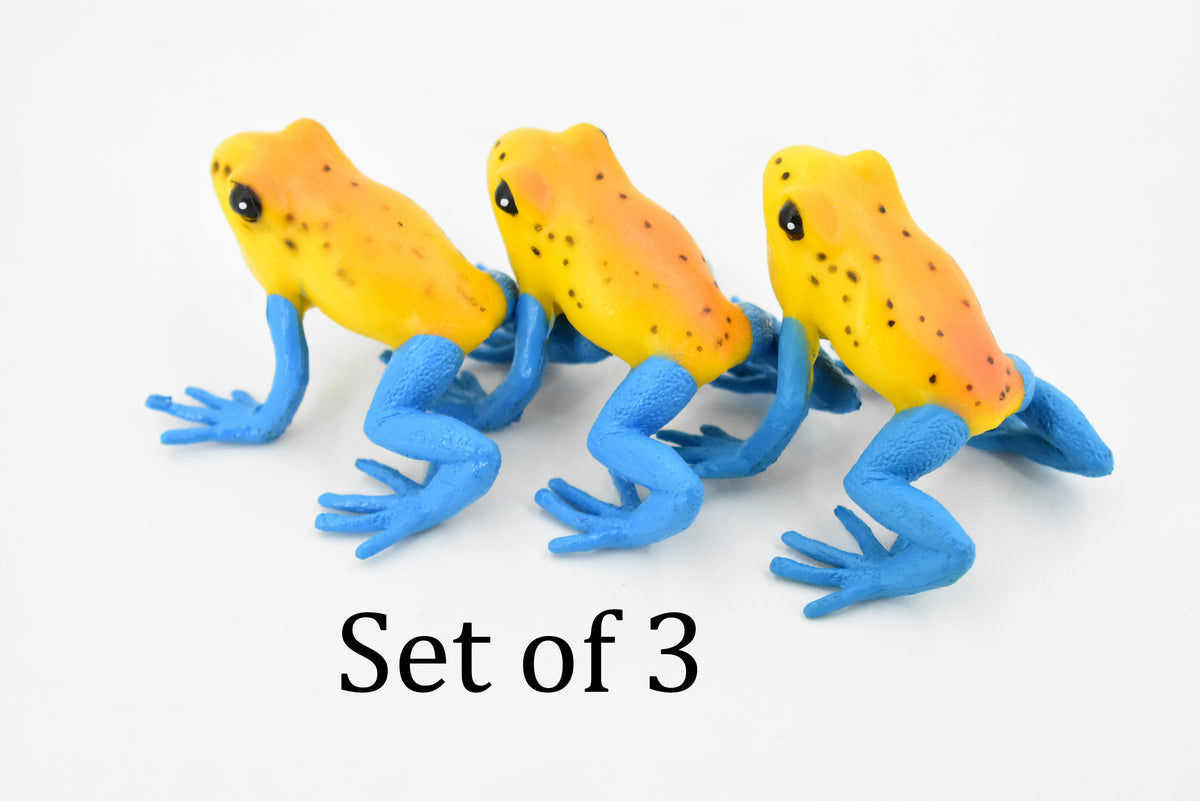 Blue Legged Mantella Frog, Madagascar, Hand Painted, Amphibian, Hard Rubber, Realistic Frog, Replica, Toy, Kids, Educational, Gift,      2"    F4404 B9