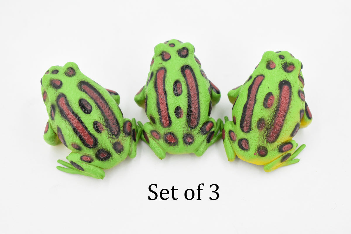 Northern Leopard Frog, Spotted Green Amphibian, Hard Rubber Toy, Realistic, Figure, Model, Replica, Kids, Educational, Gift,      2"     F4405 B9