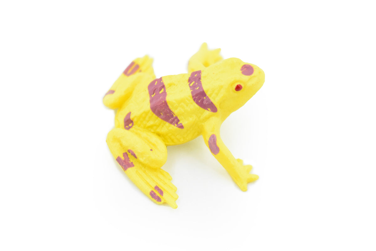 Yellow-banded poison dart frog, Arrow Frog, Very Nice Plastic Design, Educational, Diorama, Realistic Figure, Lifelike, Toy, Kids, Gift,   1 1/2 Inches.   CWG19 B47