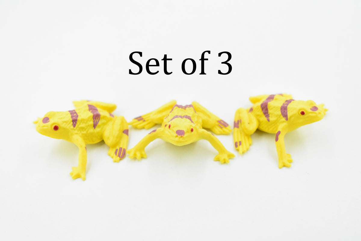 Yellow-banded poison dart frog, Arrow Frog, Very Nice Plastic Design, Educational, Diorama, Realistic Figure, Lifelike, Toy, Kids, Gift,   1 1/2 Inches.   CWG19 B47