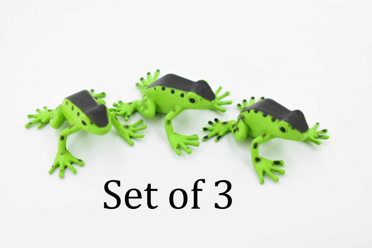 Poison Dart Frog, Green and Black, Hand Painted, Amphibian, Hard Rubber, Rainforest Frog, Model, Replica, Toy, Kids, Educational, Gift,     1 1/2"    F091 B43