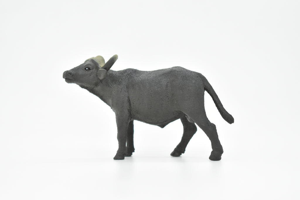 Cape Buffalo, African, Figure, Model, Figurine, Educational, Animal, Kids, Gift Museum Quality Plastic Replica, Hand Painted       4 1/2"      CH143 B245