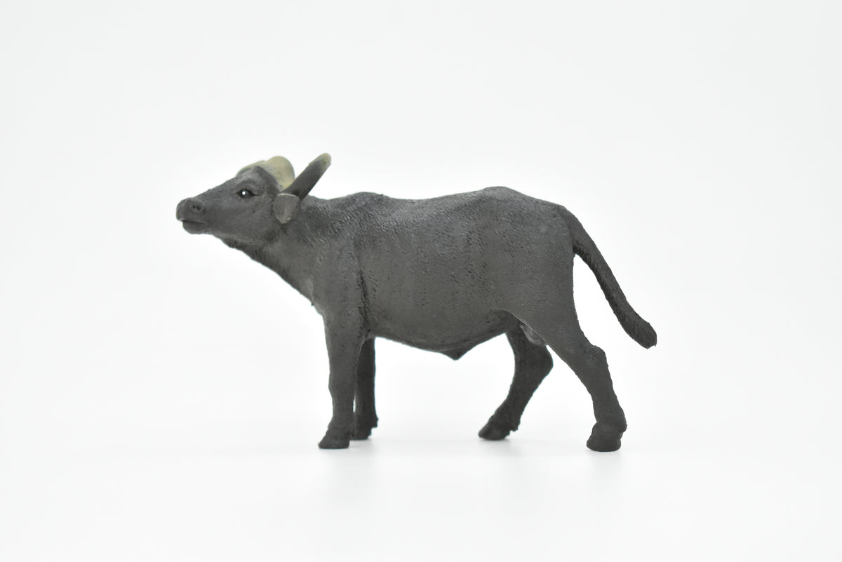 Cape Buffalo, African, Figure, Model, Figurine, Educational, Animal, Kids, Gift Museum Quality Plastic Replica, Hand Painted       4 1/2"      CH143 B245