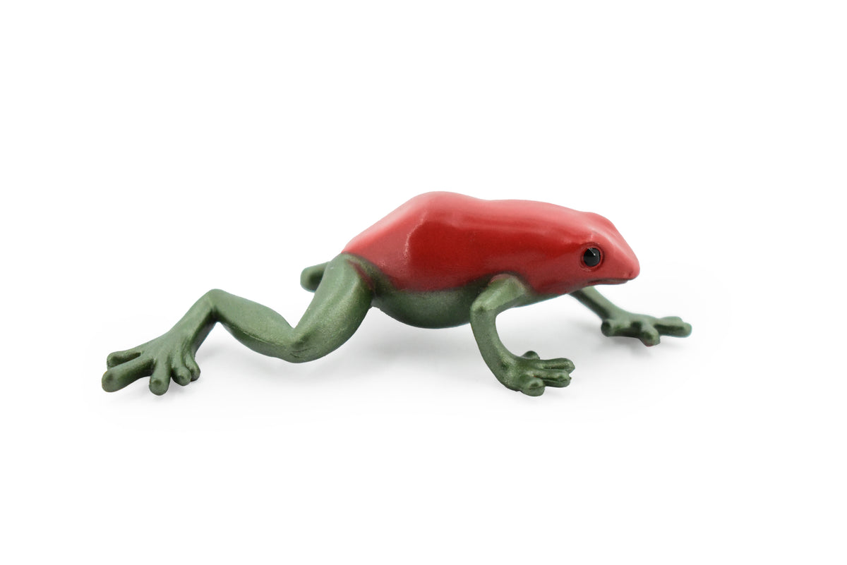 Frog, Poison Dart Frog Red and Blue, Plastic Toy, Realistic, Rainforest, Figure, Model, Replica, Kids, Educational, Gift,       3"     F4093 B54