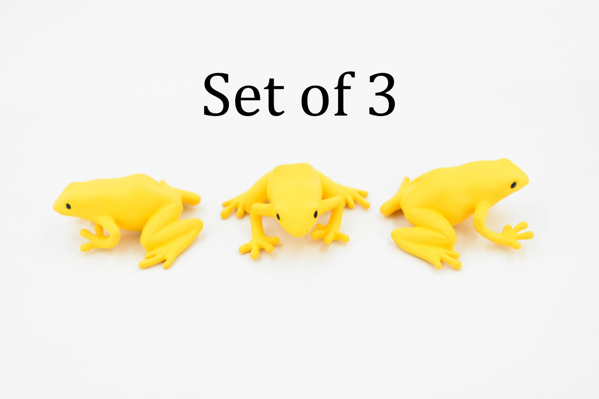 Frog, Golden Poison Dart Frog, Plastic Toy, Realistic, Rainforest, Figure, Model, Replica, Kids, Educational, Gift,      1 3/4"    F4083 B54