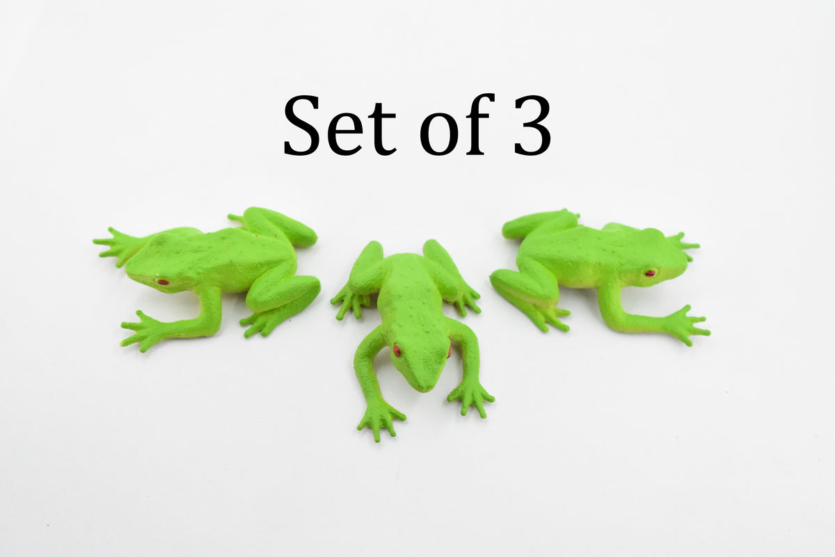 Red-Eyed Poison Dart Frog,  Hand Painted, Educational, Rubber Amphibian, Realistic Figure, Lifelike, Gift,      2"     F1670 B63