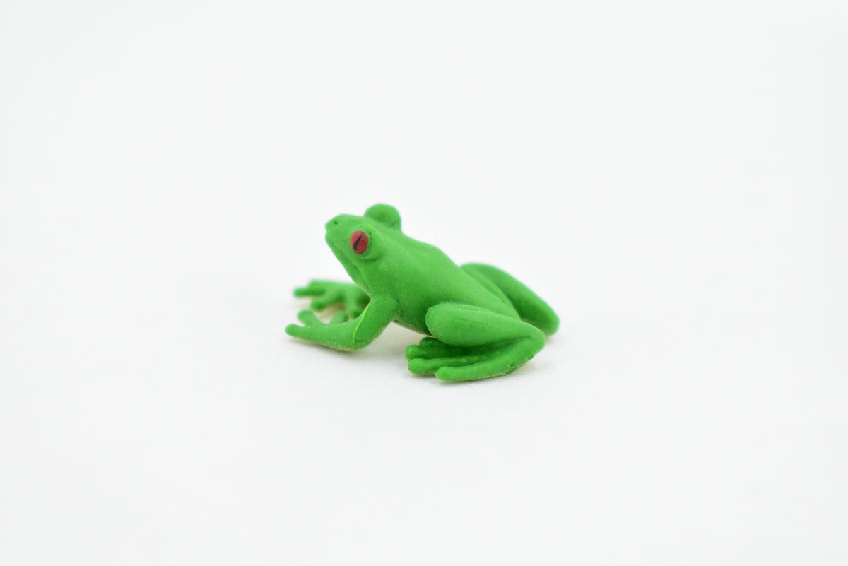 Frog, Mini Realistic Green Tree Frog, Plastic Toy, Realistic, Rainforest, Figure, Model, Replica, Kids, Educational, Gift     1"    F4077 B33