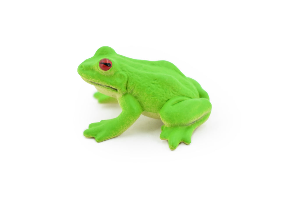 Green Tree Frog, Rubber Amphibian, Educational, Realistic, Figure, Lifelike Model, Figurine, Replica, Toys, Kids, Gift,    1 1/4 Inches.    F7014 B33