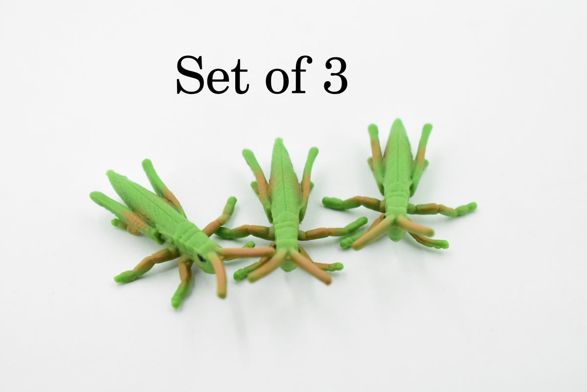 Grasshopper, Rubber Insect, High Quality, Hand Painted, Educational, Realistic Toy Figure, Diorama Model, Replica, Kids,  Gift,       2  Inches.    CH400 BB108
