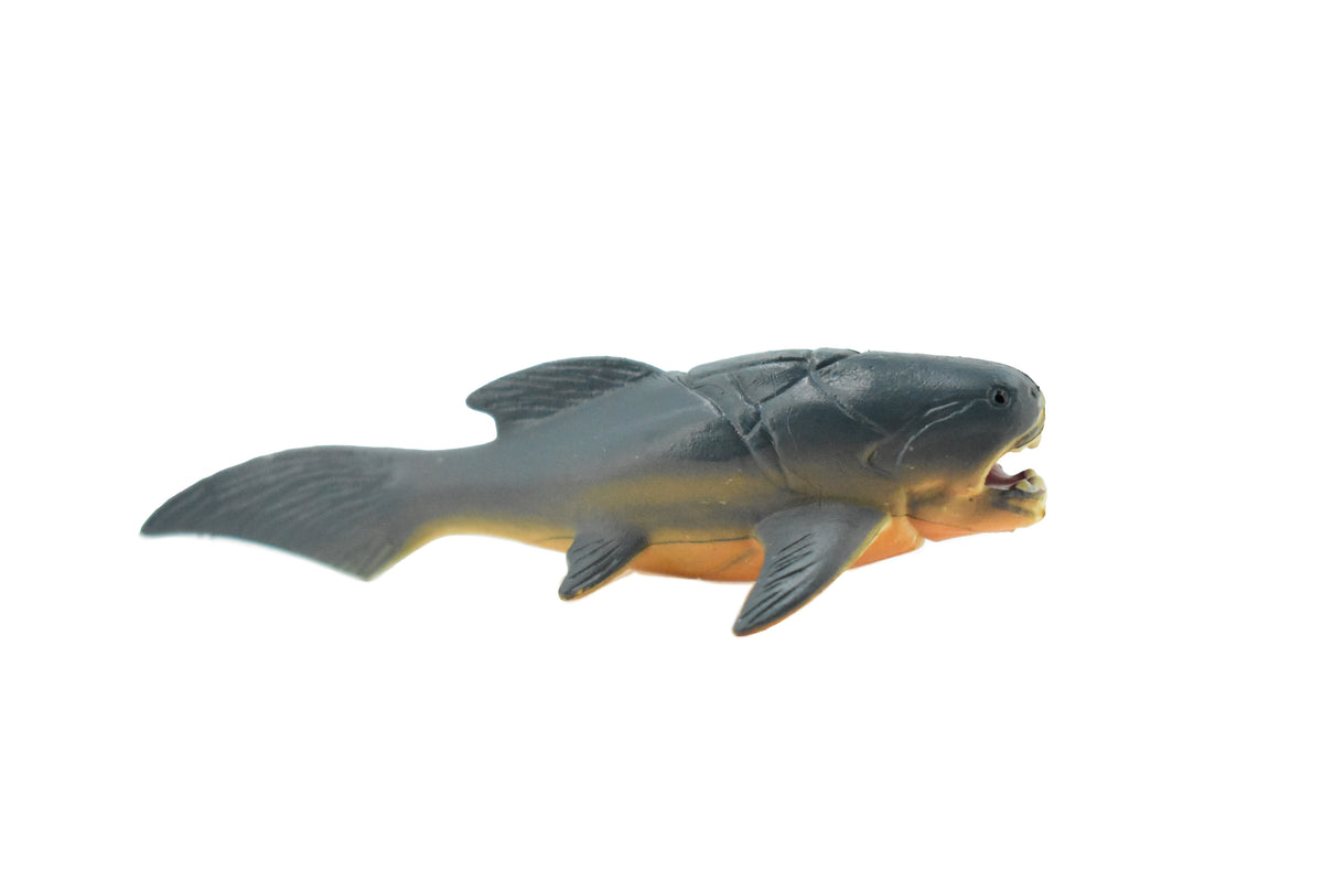 Dunkleosteus, Prehistoric Fish, Dinosaur, Very Nice Design, Rubber Fish, Hand Painted, Realistic Toy Figure, Diorama Model, Kids, Educational, Gift,    3 Inches.    CH404 BB108