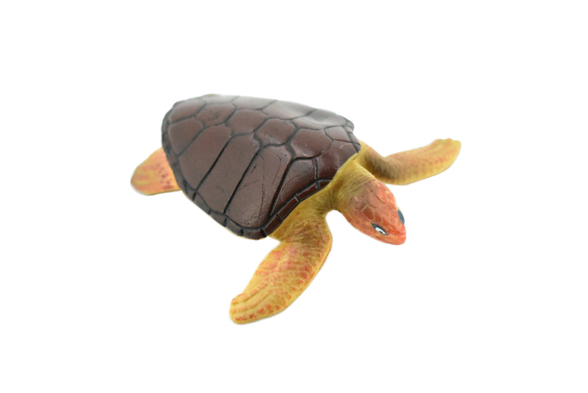 Loggerhead Sea Turtle, (Caretta caretta), Rubber Reptile, Hand Painted, Educational, Realistic Toy Figure, Diorama Model, Kids, Gift,     2 1/2 Inches.    CH408 BB108