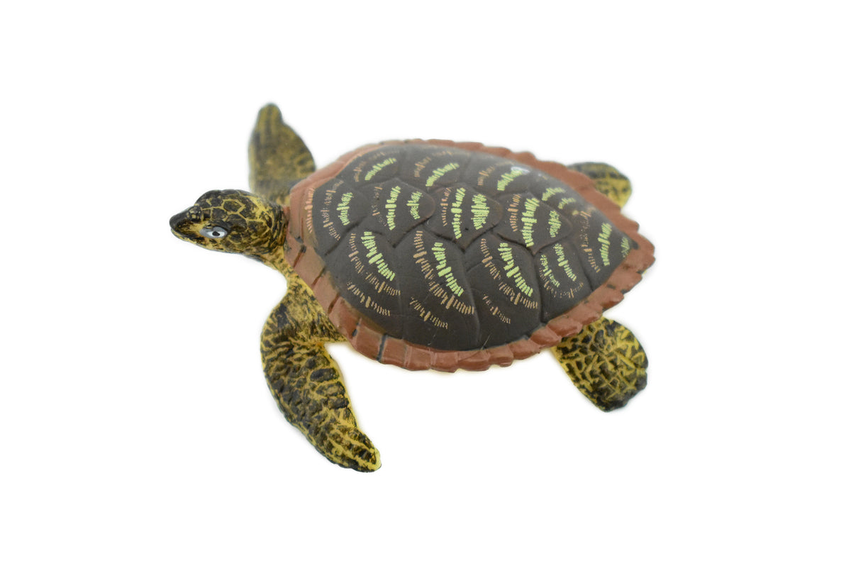 Hawksbill Sea Turtle, Rubber Reptile, Hand Painted, Museum Quality, Educational, Realistic Toy Figure, Diorama Model, Kids, Gift,     2 1/2 Inches.    CH417 BB108