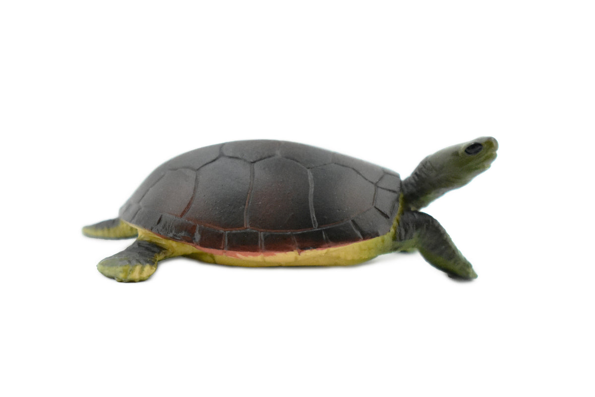 Turtle, Yellow Pond Turtle, Rubber Reptile, Hand Painted, Museum Quality, Educational, Realistic Toy Figure, Diorama Model, Kids, Gift,     2 1/2 Inches.     CH421 BB108