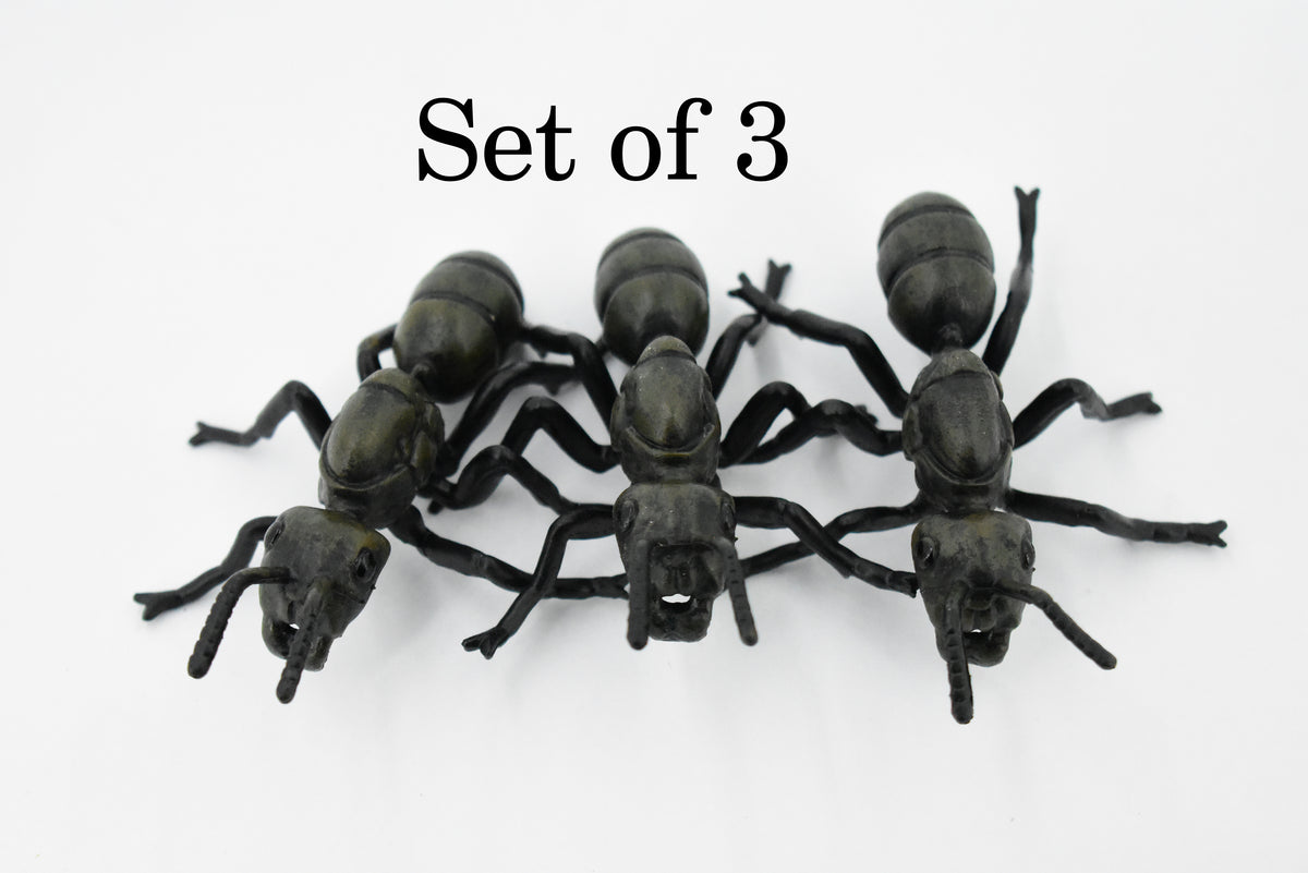 Garden ant, Common Black Ant, Very Nice Design, Educational, Hand Painted, Realistic Rubber Insect, Toy Figure, Diorama Model, Kids, Gift,   3 1/2 Inches.     CH434 BB109