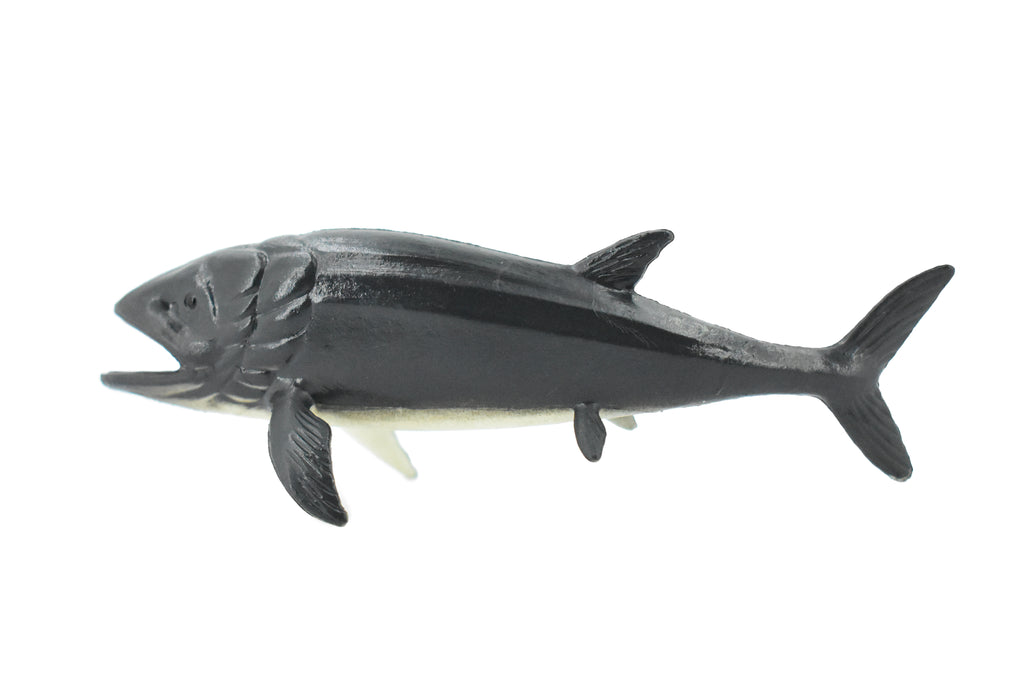 Leedsichthys, Extinct Jurassic Fish, Leeds' fish, Museum Quality, Rubber, Hand Painted, Realistic, Diorama Model, Kids, Educational, Gift,       4 Inches.       CH428 BB109