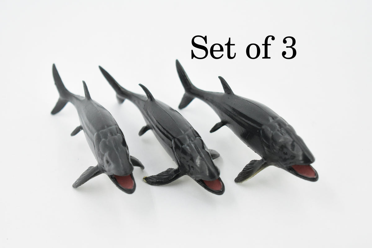 Leedsichthys, Extinct Jurassic Fish, Leeds' fish, Museum Quality, Rubber, Hand Painted, Realistic, Diorama Model, Kids, Educational, Gift,       4 Inches.       CH428 BB109