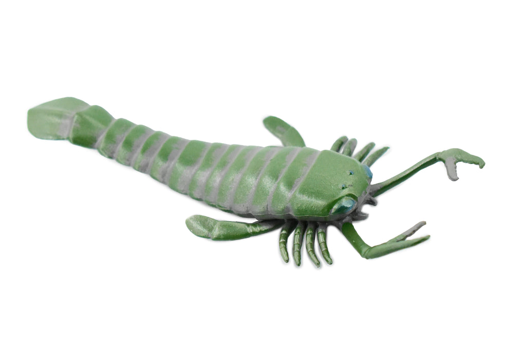 Eurypterida, Sea Scorpions, Extinct Arthropods, Museum Quality, Rubber, Hand Painted, Realistic, Diorama Model, Kids, Educational, Gift,    5 1/2 Inches.    CH431 BB109