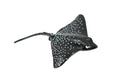 Spotted Eagle Ray, Duckbill ray, or Bonnet skate, Rubber Fish, Realistic Toy Figure, Diorama Model, Replica, Kids, Educational Design, Gift,    2 1/2 Inches.     CH439 BB109