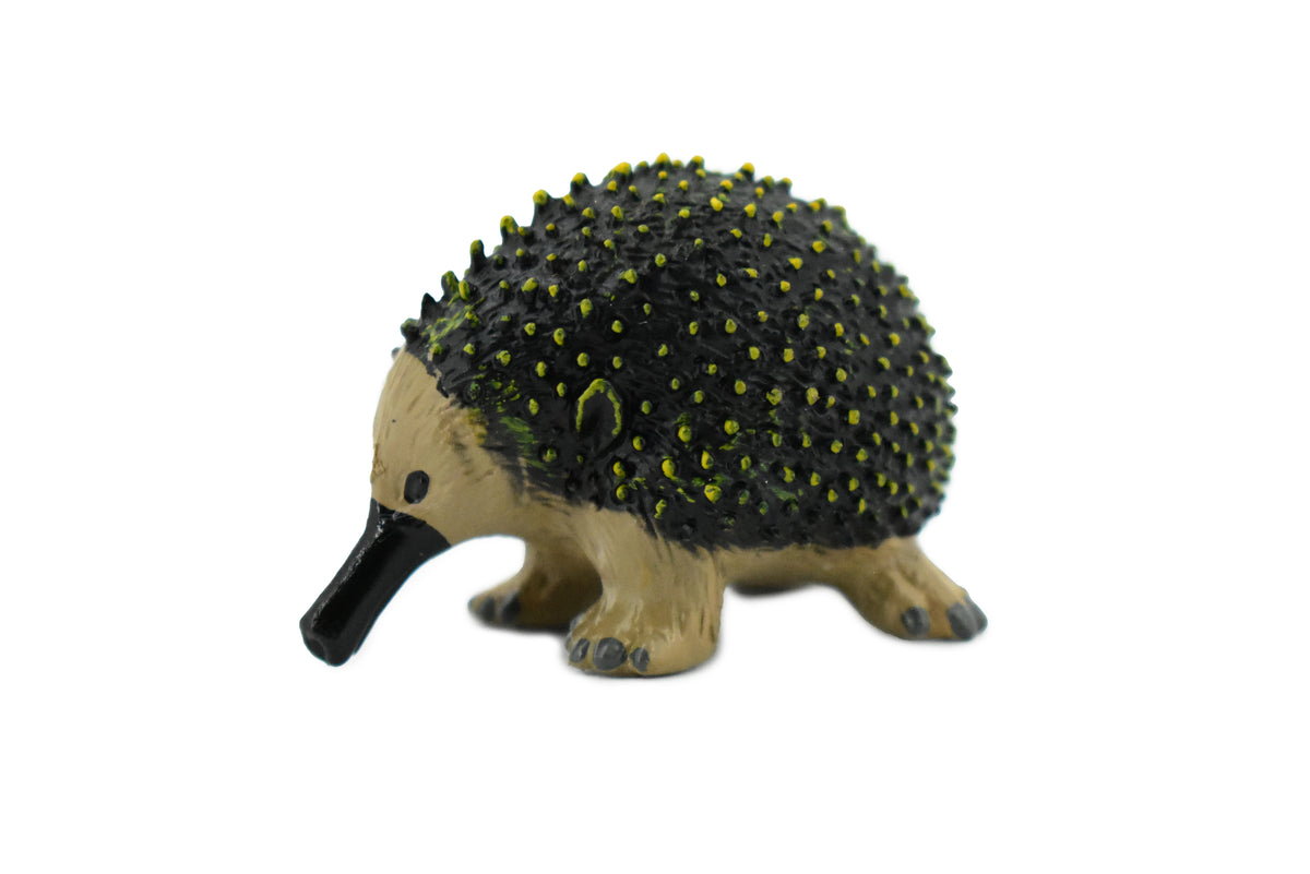 Spiny Anteater, Echidnas, Very Nice Design, Hand Painted, Educational, Rubber Animal, Realistic Toy Figure, Diorama Model, Kids, Gift,     2 Inches.      CH181 BB113