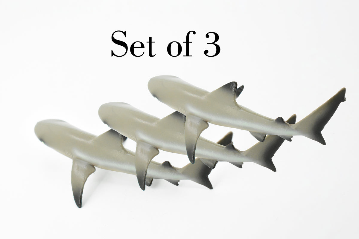 Black Tip Reef Shark, Museum Quality, Hand Painted,  Rubber Fish,  Educational, Diorama Model, Replica, Realistic Toy Figure, Kids,  Gift,     5 Inches.     CH177 BB113