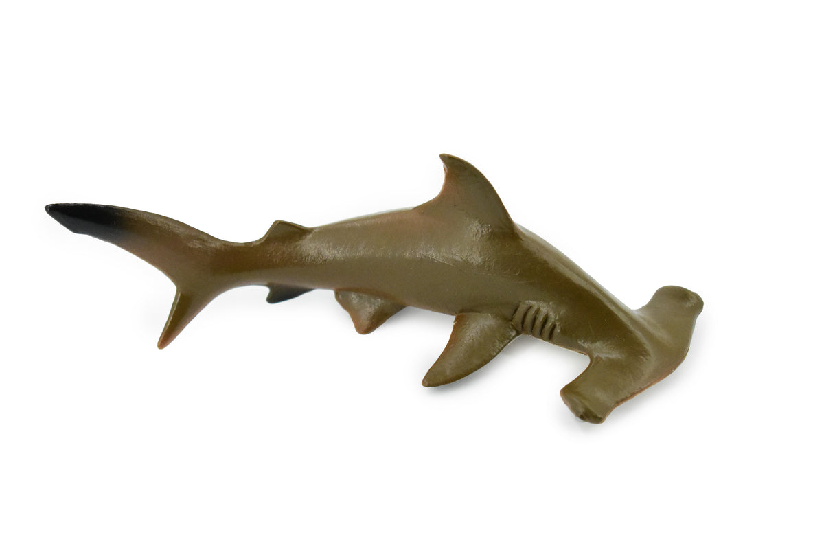 Hammerhead Shark, Museum Quality, Educational, Rubber Fish, Hand Painted, Realistic Toy Figure, Diorama Model, Kids, Educational, Gift,    5 1/2 Inches.    CH176 BB113