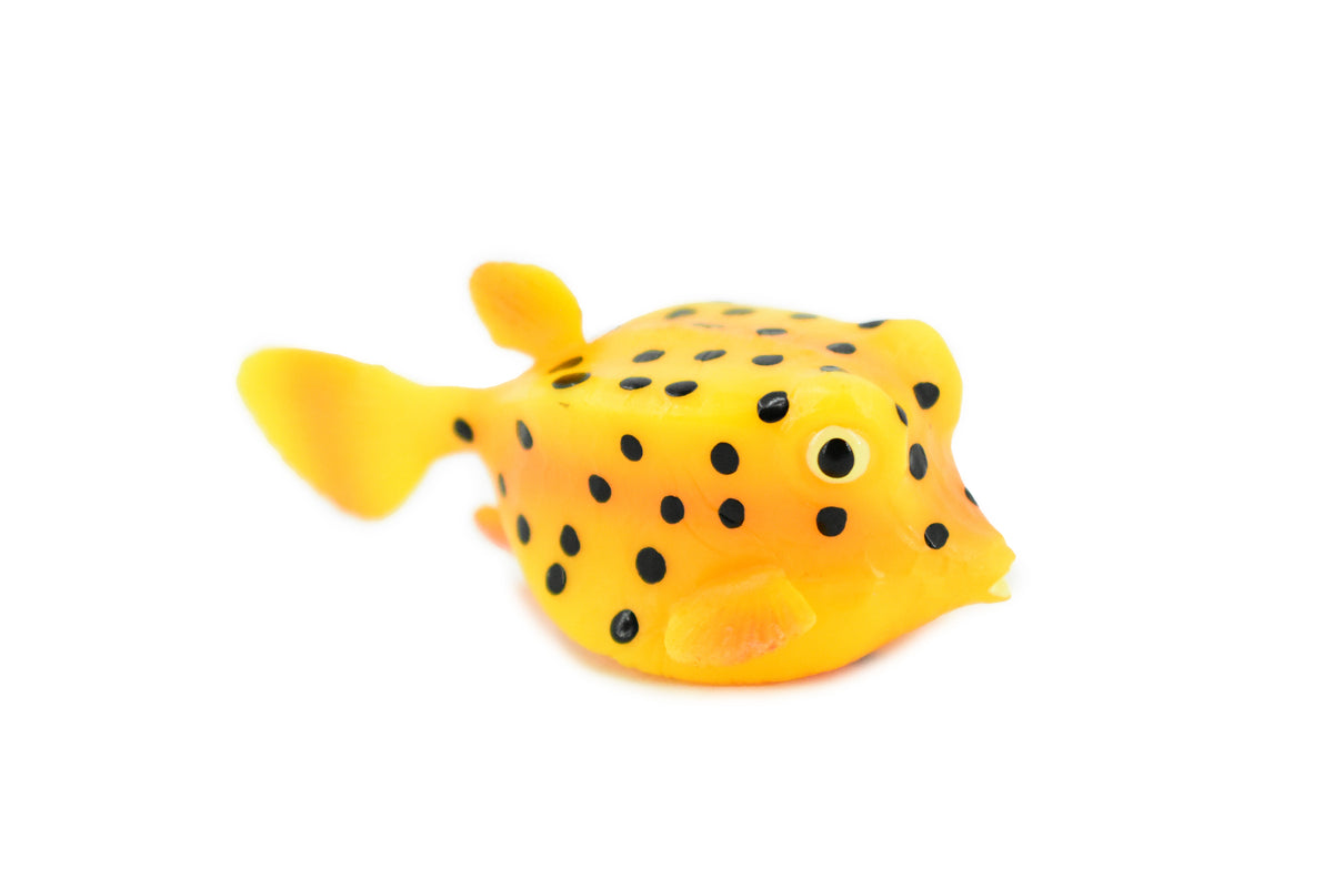 Trunkfish, Trunk Fish, Spotted, Rubber Fish, Museum Quality, Hand Painted, Realistic Toy Figure, Diorama Model, Replica, Kids, Educational, Gift,     2 Inches.    CH443 BB114