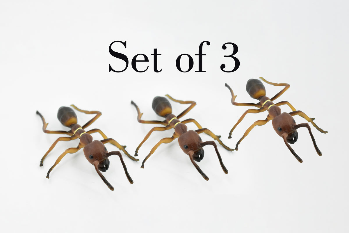Red Fire Ant, Ginger ant, Very Nice Design, Educational, Hand Painted, Realistic Rubber Insect, Toy Figure, Diorama Model, Kids, Gift,   4 Inches.       CH457 BB114
