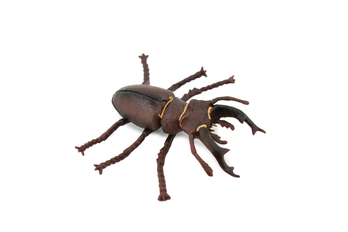 Stag, Beetle, Museum Quality, Hand Painted, Educational, Realistic Insect, Toy Figure, Diorama Model, Replica, Kids,  Gift,     3 Inches.    CH456 BB114