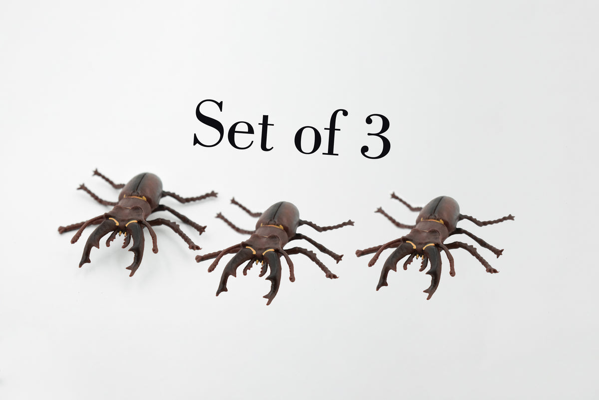 Stag, Beetle, Museum Quality, Hand Painted, Educational, Realistic Insect, Toy Figure, Diorama Model, Replica, Kids,  Gift,     3 Inches.    CH456 BB114