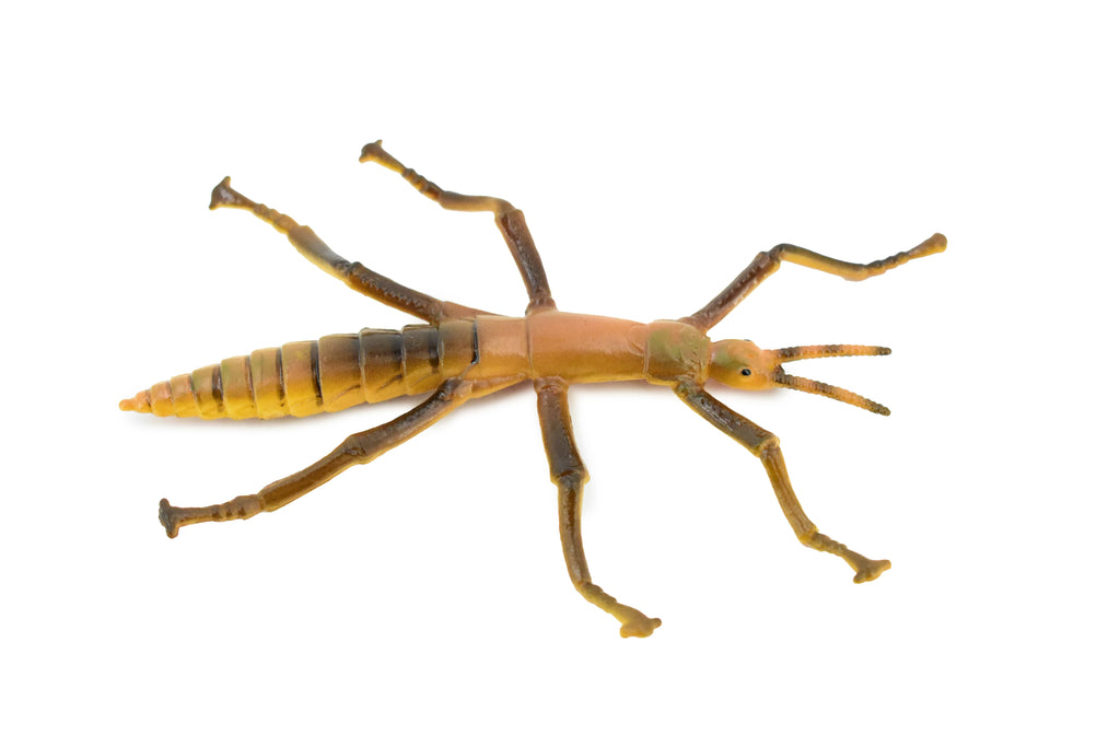 Stick Insect, Phasmatodea, Rubber Insect, High Quality, Hand Painted, Educational, Realistic Toy Figure, Diorama Model, Replica, Kids,  Gift,     4 1/2 Inches.    CH458 BB114