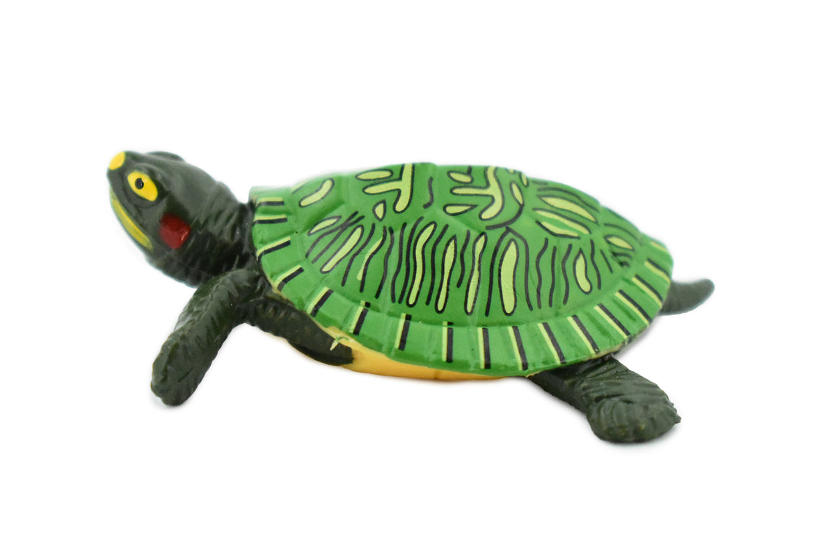 Turtle, Red Ear Slider Pond Turtle, Terrapin, Hand Painted, Museum Quality, Educational, Realistic Toy Figure, Diorama Model, Kids, Gift,     2 Inches.    CH461 BB114