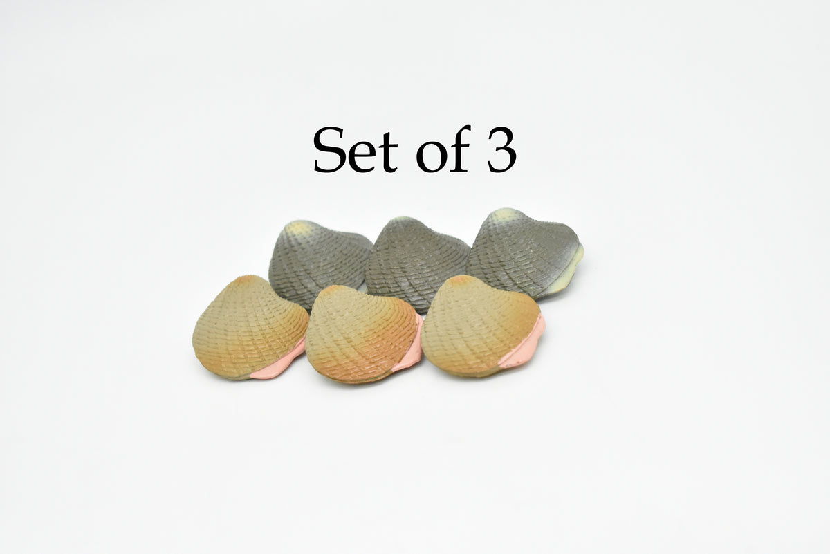 Clams, Pair of Two, Littleneck Clams, Mercenaria mercenaria, Hand Painted, Realistic, Solid Rubber, Saltwater, Educational Model, Figure, Lifelike, Diorama Model, Toy, Gift,   1 1/4 Inches.  CWG140 BB28