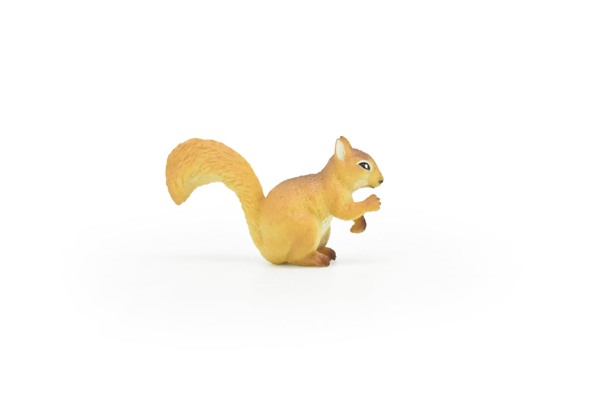 Squirrel, Tree, Ground, Sciuridae, Hand Painted, High Quality, Hard Rubber, Realistic, Very Nice Design, Educational, Diorama Model, Lifelike, Toy, Gift,  2 Inches.     CWG179 BB41