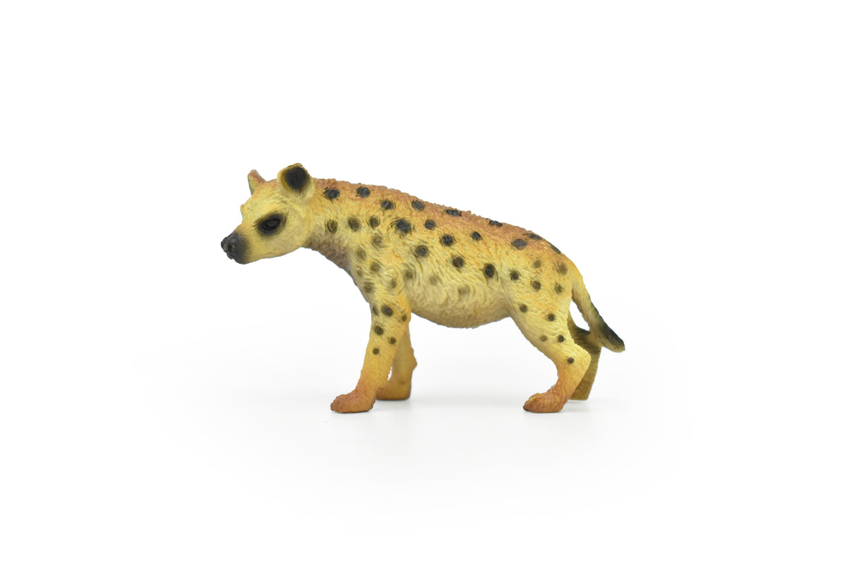 Hyena, Spotted hyena, Laughing, Very Nice Plastic Design, African Animal Figure, Educational, Figure, Lifelike, Diorama Model, Figurine, Replica, Toy, Kids, Gift,    3 Inches.     CWG185 BB44