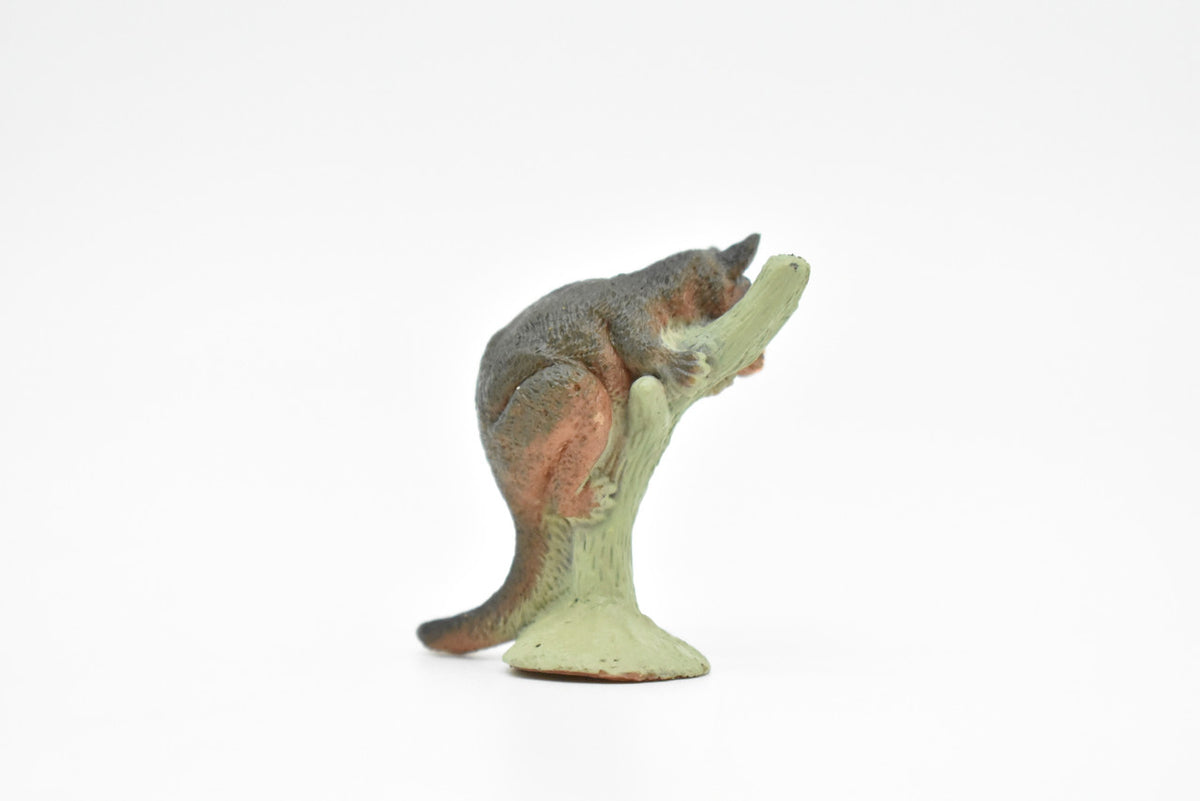 Aye-aye, Long Finger Lemur, Madagascar, Very Nice Plastic Design, Animal Figure, Educational, Figure, Lifelike, Diorama Model, Figurine, Replica, Toy, Kids,  3 Inches.  