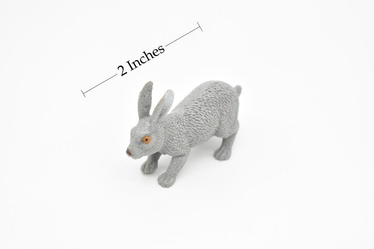 Rabbit, Hare, Leporidae, Bunny, Very Nice Hard Rubber, Realistic, Very Nice Design, Animal, Educational, Diorama Model, Lifelike, Toy,  2 Inches.