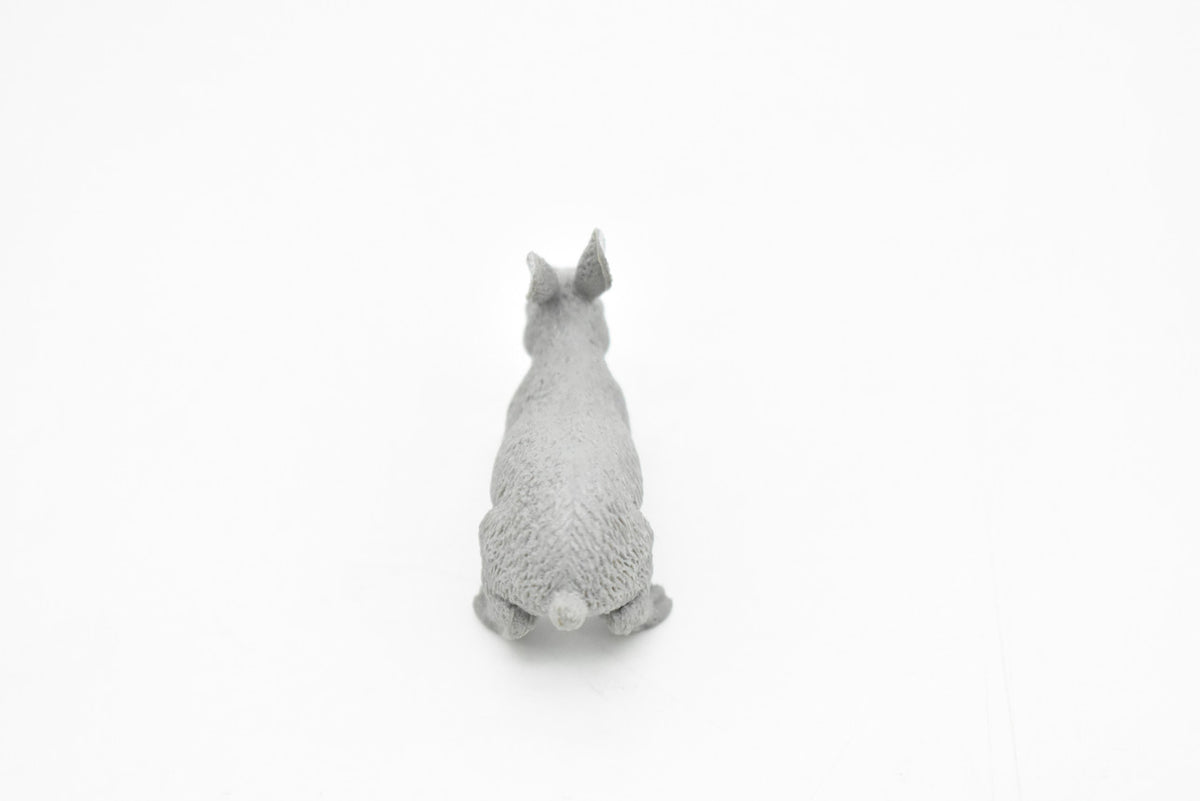 Rabbit, Hare, Leporidae, Bunny, Very Nice Hard Rubber, Realistic, Very Nice Design, Animal, Educational, Diorama Model, Lifelike, Toy, Gift,    2 Inches.    CWG111 B237