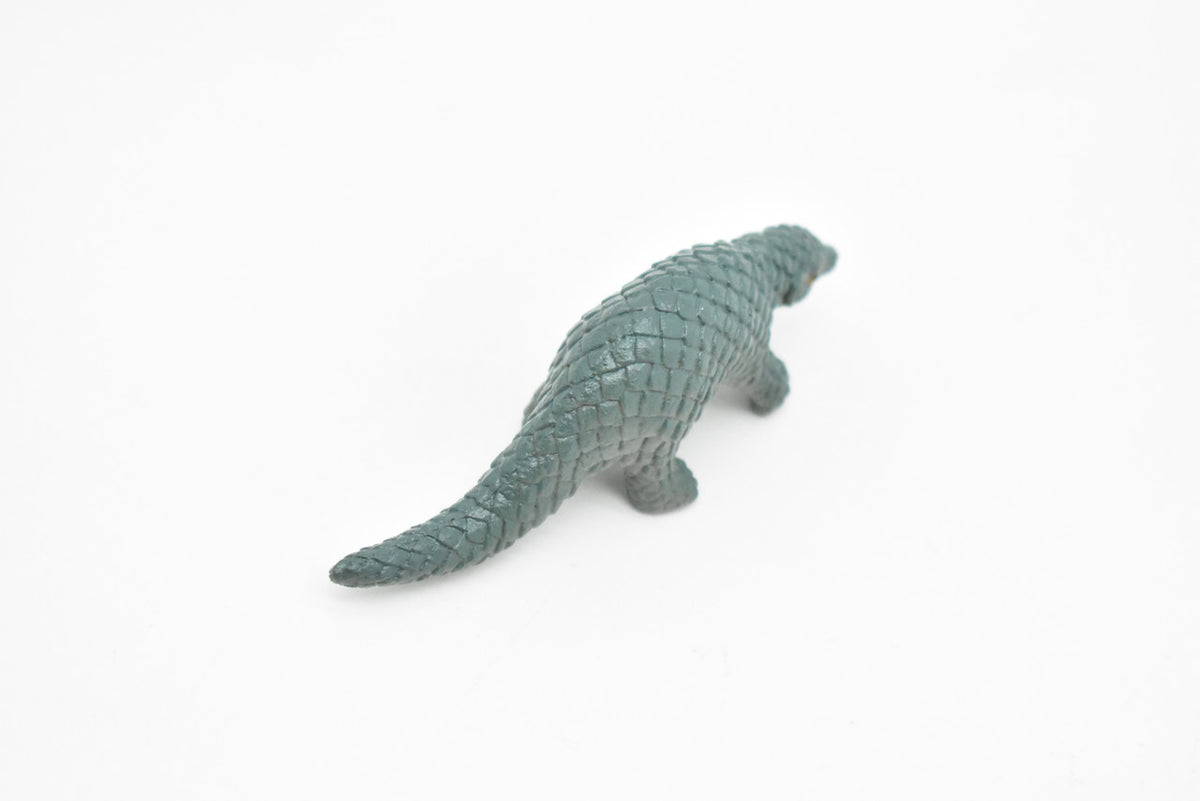 Pangolin, Scaly Anteaters, Manidae, Very Nice Plastic Design, Animal Figure, Educational, Figure, Lifelike, Diorama Model, Figurine, Replica, Toy, Kids, Gift,   3 Inches.    CWG113 B237