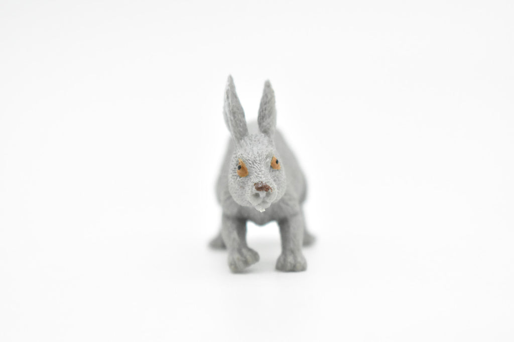 Rabbit, Hare, Leporidae, Bunny, Very Nice Hard Rubber, Realistic, Very Nice Design, Animal, Educational, Diorama Model, Lifelike, Toy, Gift,    2 Inches.    CWG111 B237
