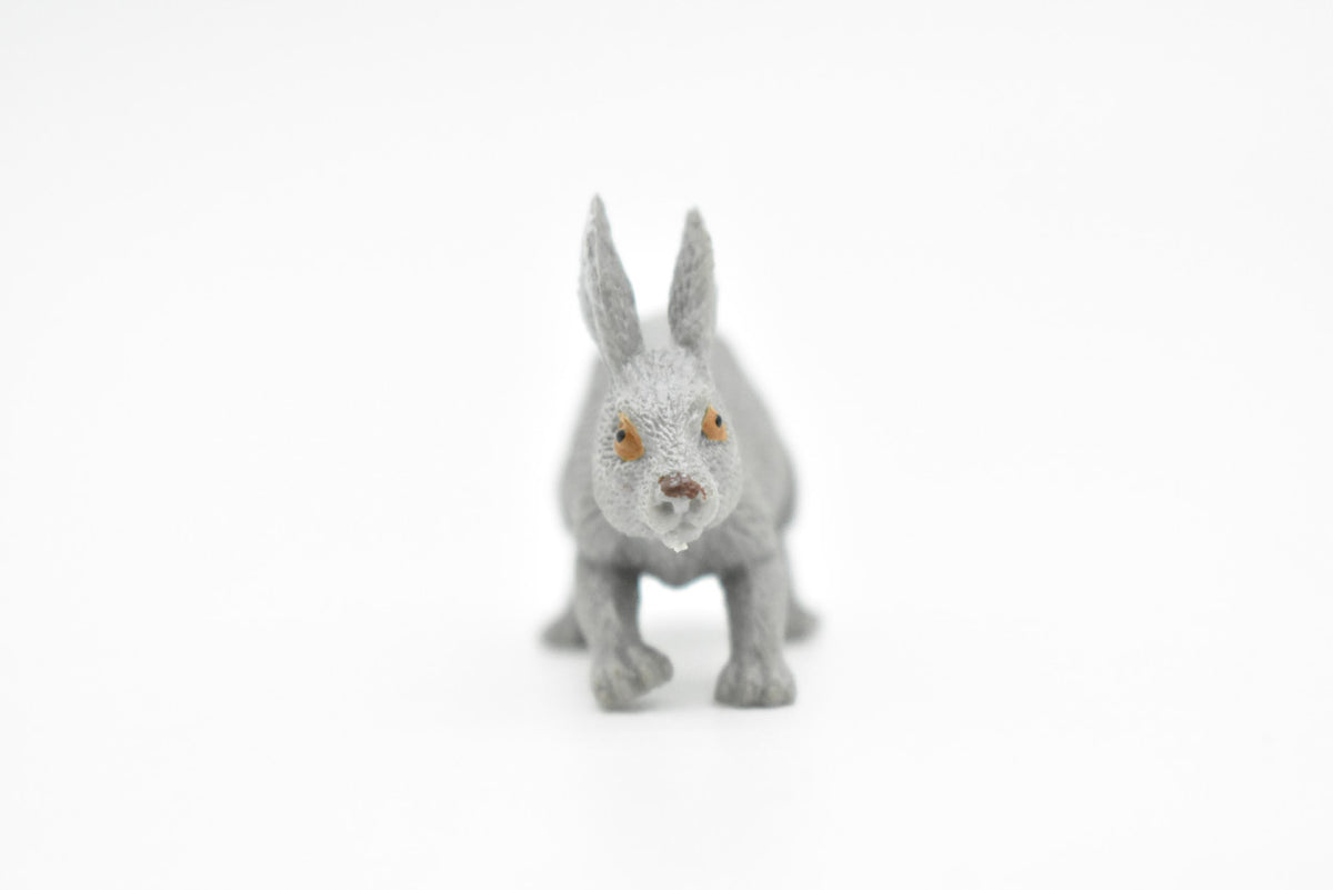 Rabbit, Hare, Leporidae, Bunny, Very Nice Hard Rubber, Realistic, Very Nice Design, Animal, Educational, Diorama Model, Lifelike, Toy, Gift,    2 Inches.    CWG111 B237
