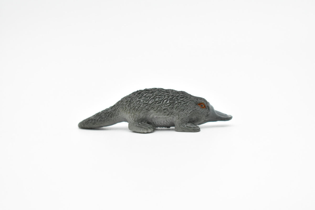 Platypus, Duck Billed platypus, Australian, Very Nice Plastic Design, Animal Figure, Educational, Figure, Lifelike, Diorama Model, Replica, Toy, Kids, Gift,   2 1/2 Inches.     CWG118 B238