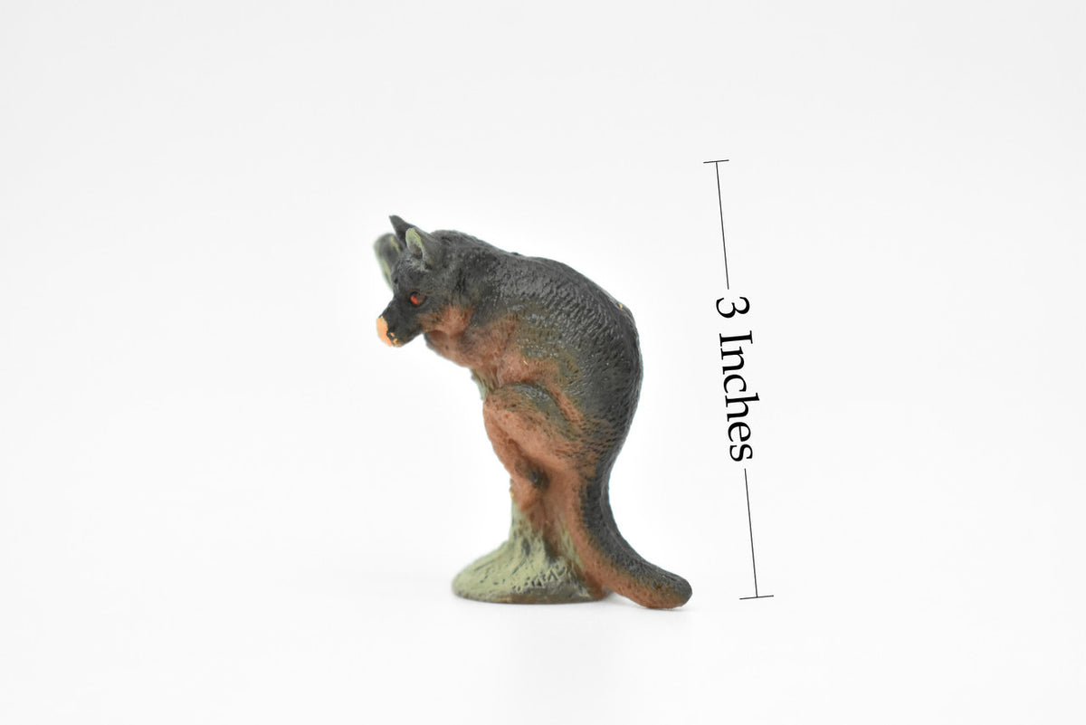 Aye-aye, Long Finger Lemur, Madagascar, Very Nice Plastic Design, Animal Figure, Educational, Figure, Lifelike, Diorama Model, Figurine, Replica, Toy, Kids,  3 Inches.  