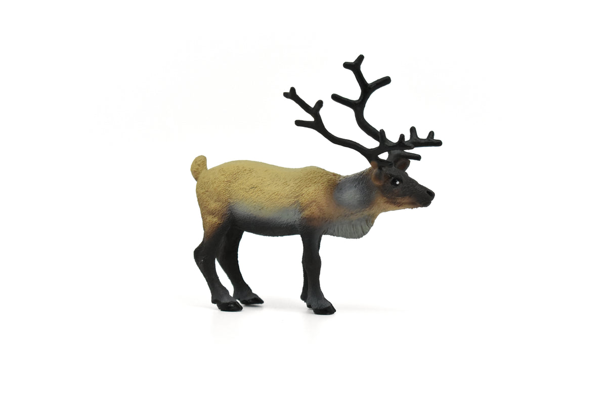 Caribou, Reindeer, Museum Quality, Realistic, Plastic Design, American Animal, Educational, Hand Painted, Diorama Figure, Lifelike Model, Toy, Gift,   3 1/2 inches.     CWG188 BB43