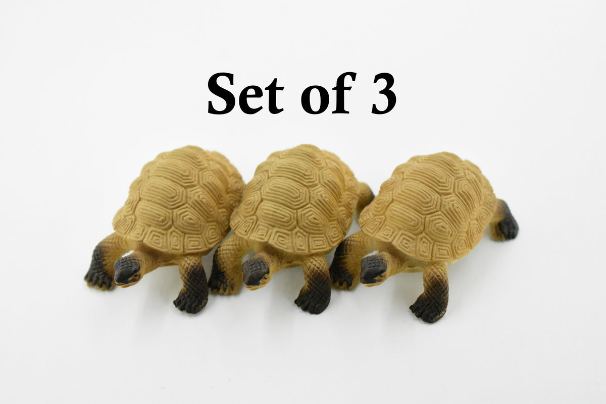 Tortoise, Galápagos tortoise, Turtle, Plastic Reptile, Educational, Realistic, Hand Painted, Figure, Lifelike Model, Figurine, Replica, Gift,     2"    F4441 B55