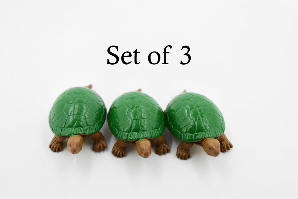 Turtle, Box Turtle, Pond Turtle, Plastic Reptile, Educational, Realistic, Hand Painted, Figure, Lifelike Model, Figurine, Replica, Gift,    2"    F1749 B77