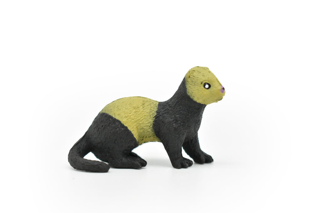Ferret, Very Nice Plastic Animal, Educational, Toy, Kids, Realistic Figure, Lifelike Model, Figurine, Replica Gift      2"    CWG232 B306