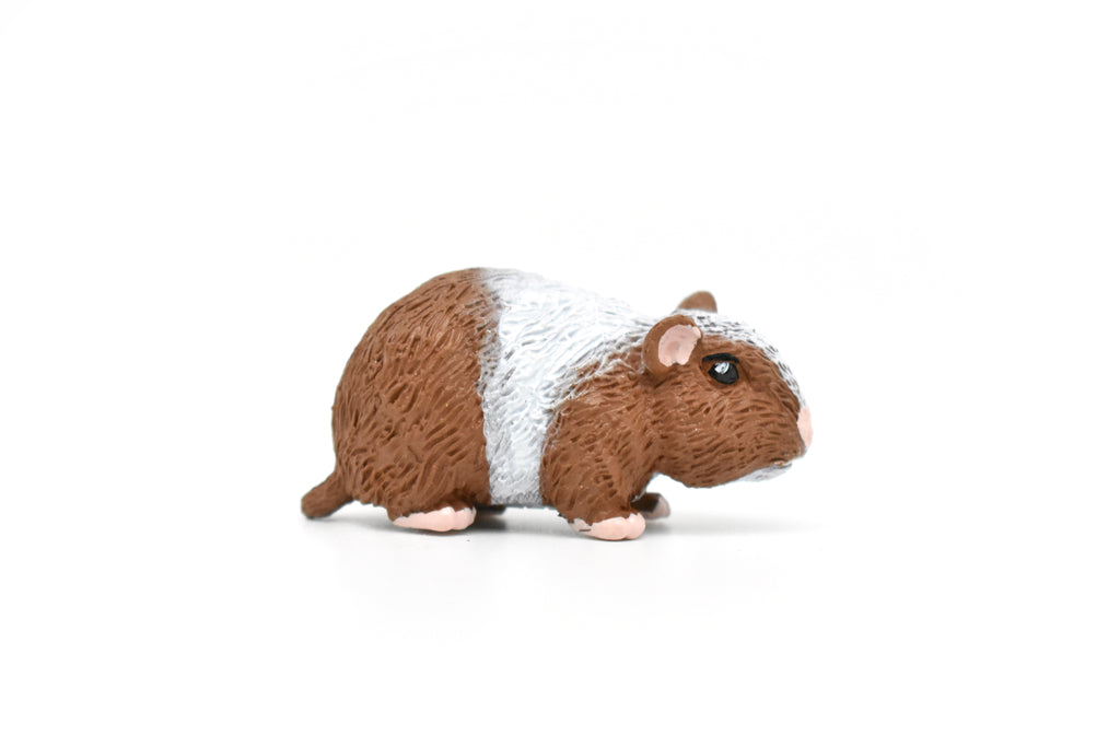 Guinea Pig, Educational, Hand Painted, Plastic Animal Design, Figure, Lifelike, Realistic Model, Replica, Gift    2 Inches.    CWG233 B306