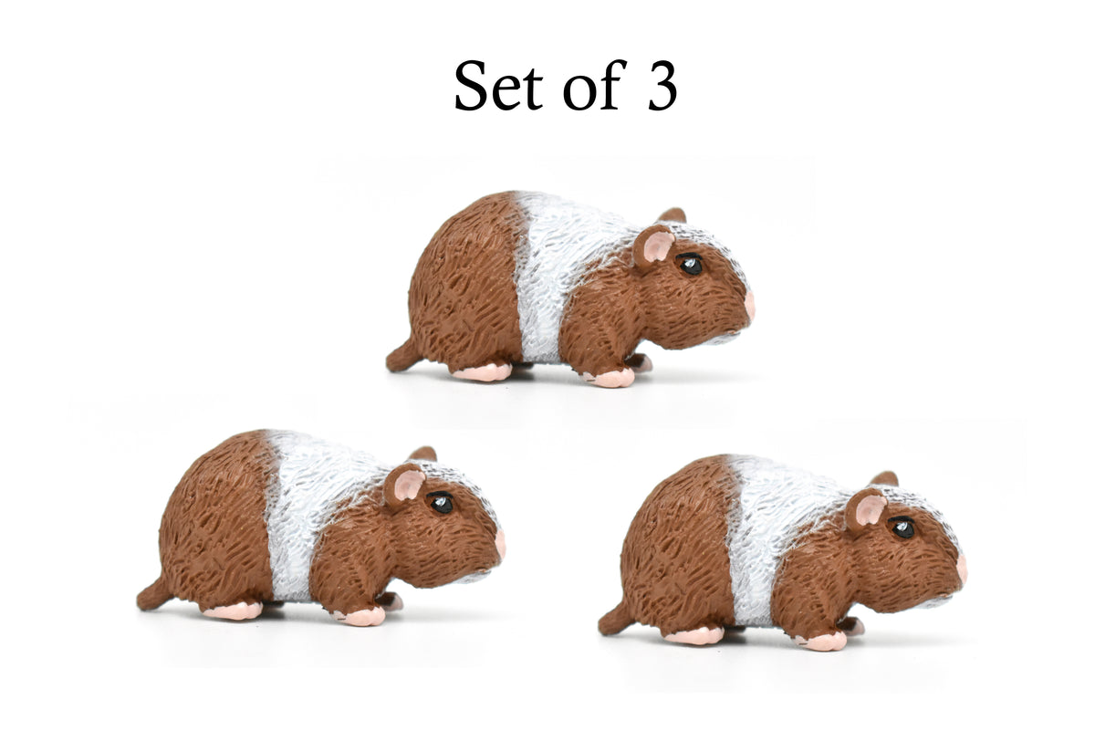 Guinea Pig, Educational, Hand Painted, Plastic Animal Design, Figure, Lifelike, Realistic Model, Replica, Gift    2 Inches.    CWG233 B306
